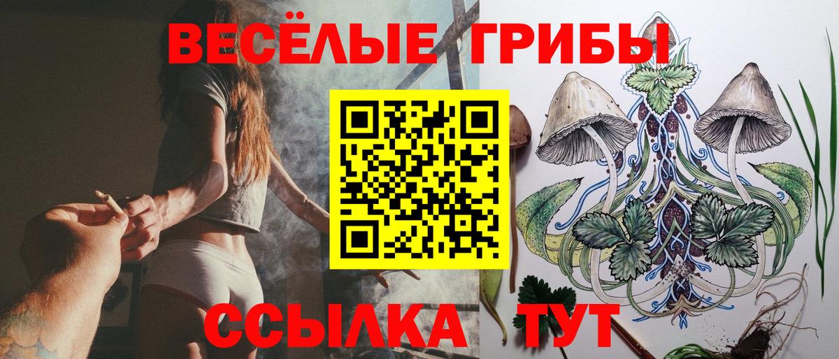 Галлюциногенные грибы Psilocybine cubensis Славянск-на-Кубани